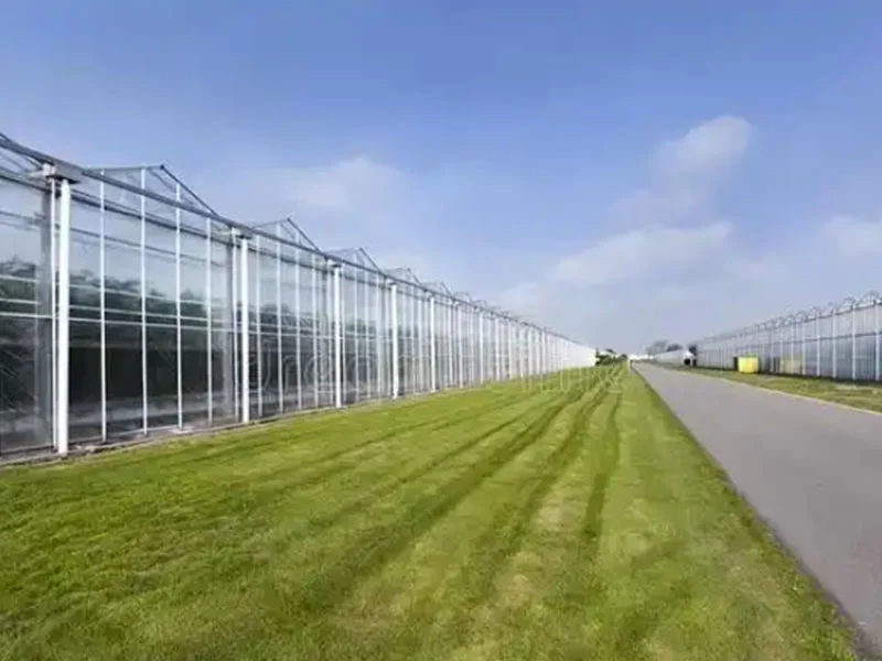Analisi dei vantaggi delle serre di vetro intelligenti