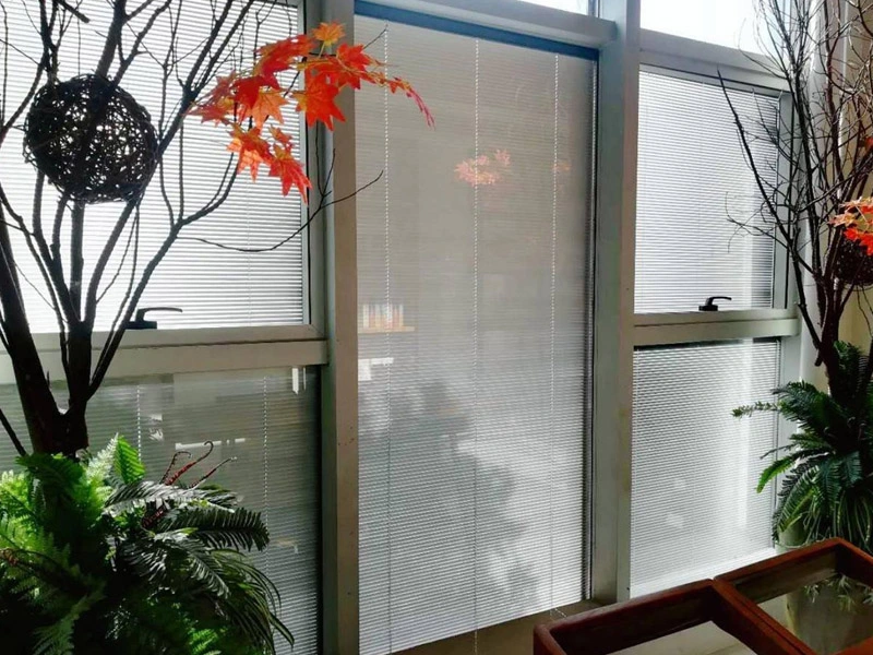 Vetro isolante cieco-facile pulizia, insonorizzato e effetto ombreggiante migliore